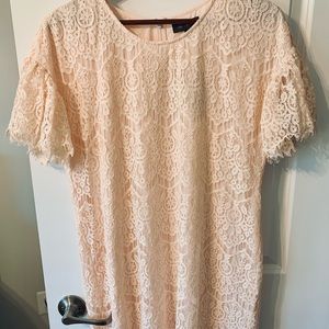The Limited dress - NWT